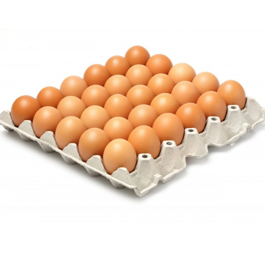 ALVEOLE 30 OEUFS